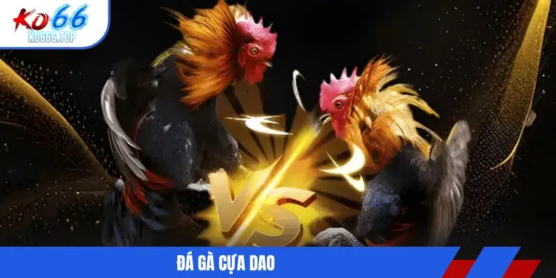 đá gà cựa dao