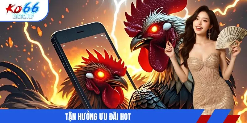 Tận hưởng ưu đãi hot