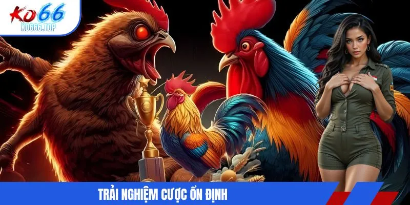 Trải nghiệm cược ổn định